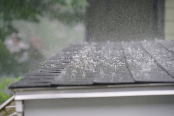 Best Roof Moss and Algae Removal  in Topanga, CA