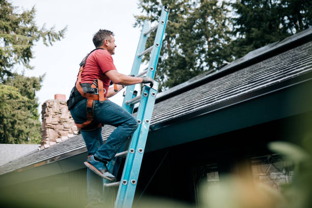 Best Skylight Installation and Repair  in Topanga, CA